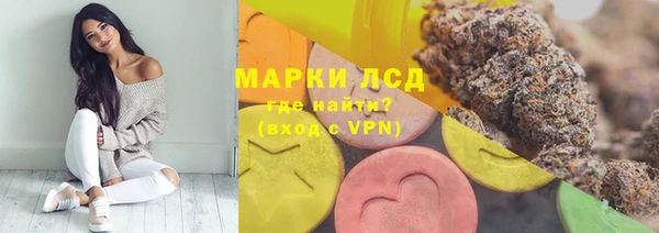 эйфоретик Липки