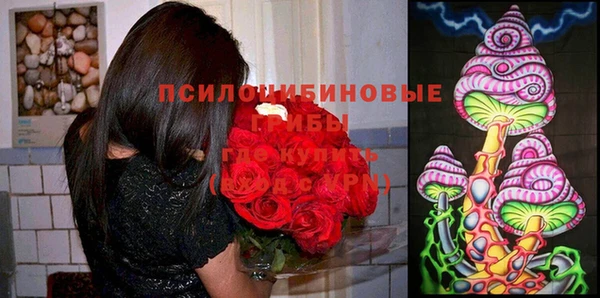 ECSTASY Лихославль
