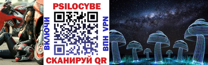 дарнет шоп  Ачхой-Мартан  Псилоцибиновые грибы Psilocybine cubensis 